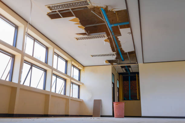 Best Flooded house restoration  in Menonee, MI