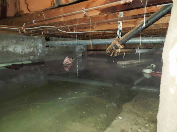 24/7 water damage repair in MI