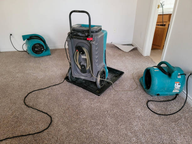 Best 24/7 water damage repair  in Menonee, MI