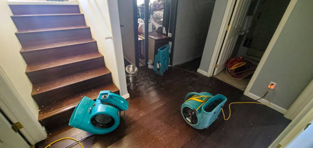 Best Water damage restoration company  in Menonee, MI