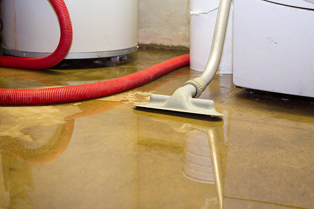 Best Basement water damage restoration  in Menonee, MI