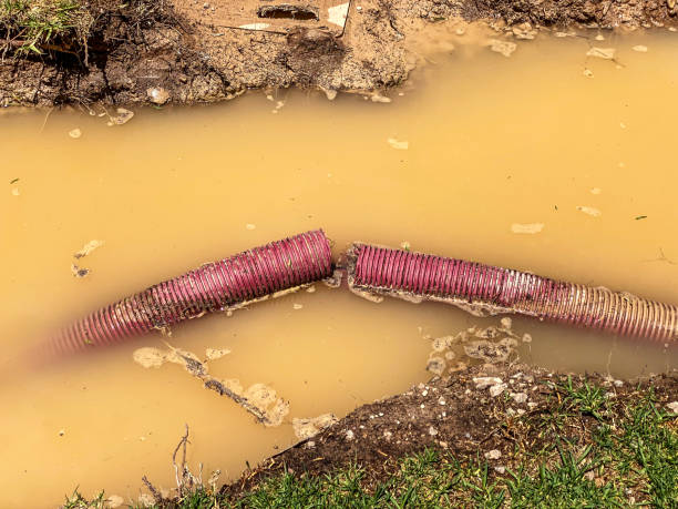 Best Flood restoration services  in Menonee, MI